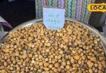 अमृत से कम नहीं, चने जैसी दिखने वाली यह चीज, इसके आगे बदाम- काजू भी सस्ते, जड़ से मिटेगा जोड़ों का दर्द!