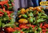 साल में सिर्फ एक दिन मिलती है ये मिर्ची मिठाई, देखने में लगती है हरी मिर्च