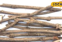 सालों नहीं करनी पड़ेगी पानी की टंकी की सफाई…बस पानी में डाल दें ये लकड़ी, ताजगी के साथ बनी रहेगी गुणवत्ता!