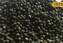 स्मोकिंग की लत को छुड़ाने में काम आती है यह गोल-मटोल औषधि, BP और शुगर कम करने में कारगर