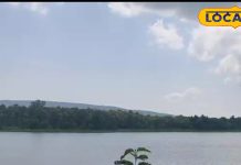 Rewa Govindgarh Lake: स्थानीय लोगों के लिए आनंद का खजाना है गोविंदगढ़ झील, परिवार के साथ जरूर बनाएं घूमने का प्लान