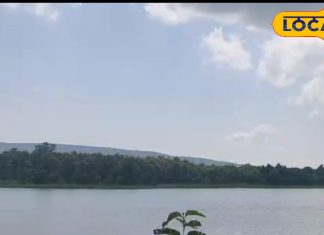 Rewa Govindgarh Lake: स्थानीय लोगों के लिए आनंद का खजाना है गोविंदगढ़ झील, परिवार के साथ जरूर बनाएं घूमने का प्लान