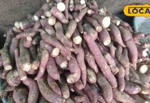 सर्दियों में लाभकारी है ये फल, आंखों और शुगर के लिए भी है फायदेमंद, जानिए इसकी खासियत