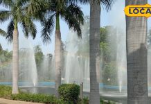 दिल्ली के इन 5 पार्कों का सर्दियों में जरूर करें दीदार, आज ही बनाएं घूमने का प्लान – Bharat.one हिंदी