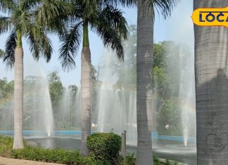 दिल्ली के इन 5 पार्कों का सर्दियों में जरूर करें दीदार, आज ही बनाएं घूमने का प्लान – Bharat.one हिंदी