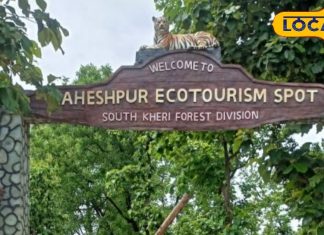 Lakhimpur News: दुधवा नेशनल पार्क में पर्यटक अब करीब से देख सकेंगे बाघ, सैलानी 6 नवंबर से कर सकेंगे जमकर मस्ती