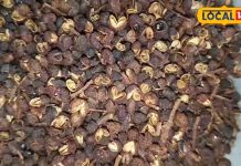 рдмрд╣реБрдд рдХрд░рд╛рдорд╛рддреА рдХрд░рддреА рд╣реИ рдпреЗ рдЬрд╛рджреБрдИ рдФрд╖рдзрд┐…рд╢рд░реАрд░ рдХреА рдердХрд╛рди-рджрд░реНрдж рдХрд░ рджреЗрдЧреА рджреВрд░, рдкрд╛рдЪрди рд╢рдХреНрддрд┐ рдореЗрдВ рднреА рдЖрдПрдЧрд╛ рд╕реБрдзрд╛рд░!