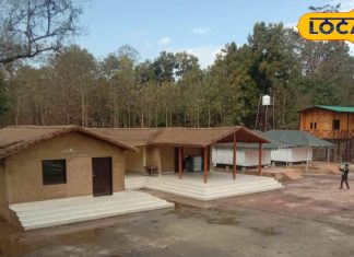 चूका बीच नहीं, रात में यहां से करें पीलीभीत टाइगर रिजर्व का दीदार, ऐसे करें बुकिंग