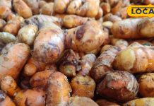 सिर्फ सर्दियों में खाई जाती है यह सब्जी, इम्यून सिस्टम को करे बूस्ट और कैंसर से लड़ने में कारगर