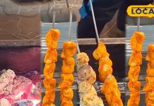 तंदूरी मोमोज देते हैं सारे स्नैक्स को टक्कर, क्रिस्पी…क्रीमी और मसालेदार होता है जायका, कीमत भी कम