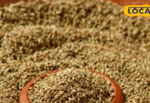 ये साधारण मसाला खत्म कर देगा सर्दी-जुकाम, डायबिटीज के इलाज में भी कारगर, जानें और फायदे