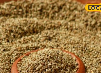 ये साधारण मसाला खत्म कर देगा सर्दी-जुकाम, डायबिटीज के इलाज में भी कारगर, जानें और फायदे