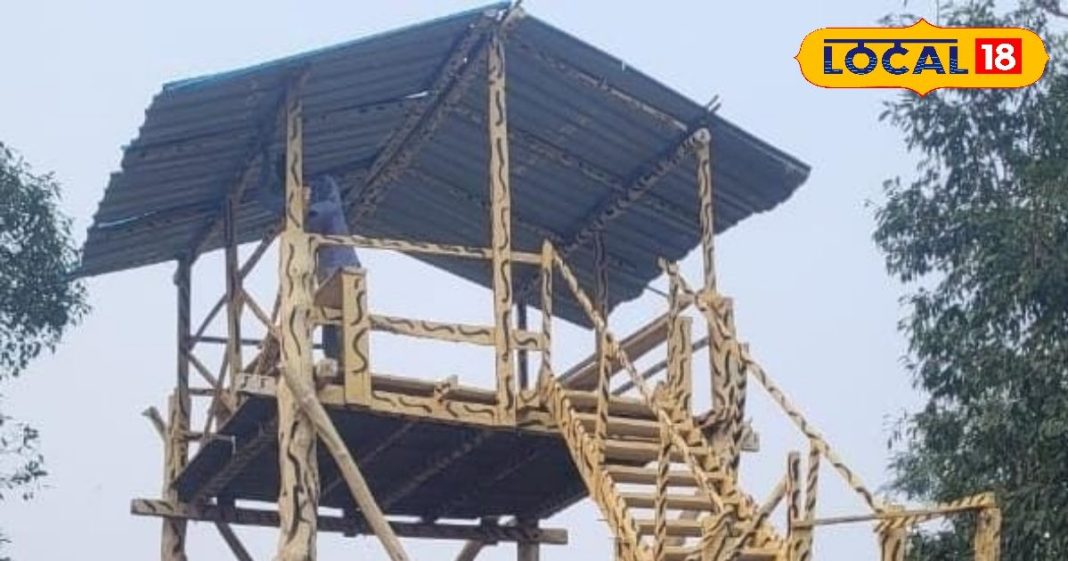 Lakhimpur Bhira Range: सैलानियों के लिए नया इको टूरिज्म तैयार, अब जंगलों की सैर सपाटा आसानी से कर सकेंगे पर्यटक