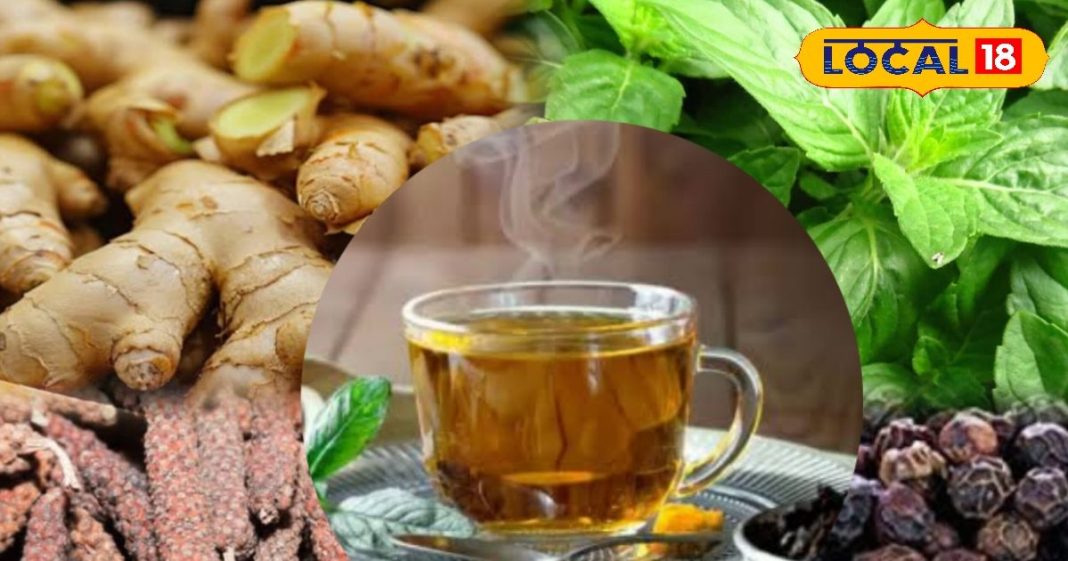 इम्यूनिटी बूस्टर है ये नुस्खा… चाय की तरह सुबह-शाम पीजिए एक कप काढ़ा, सर्दी में छू नहीं पाएगी बीमारी!