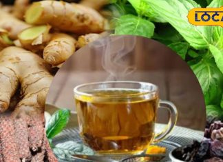 इम्यूनिटी बूस्टर है ये नुस्खा… चाय की तरह सुबह-शाम पीजिए एक कप काढ़ा, सर्दी में छू नहीं पाएगी बीमारी!