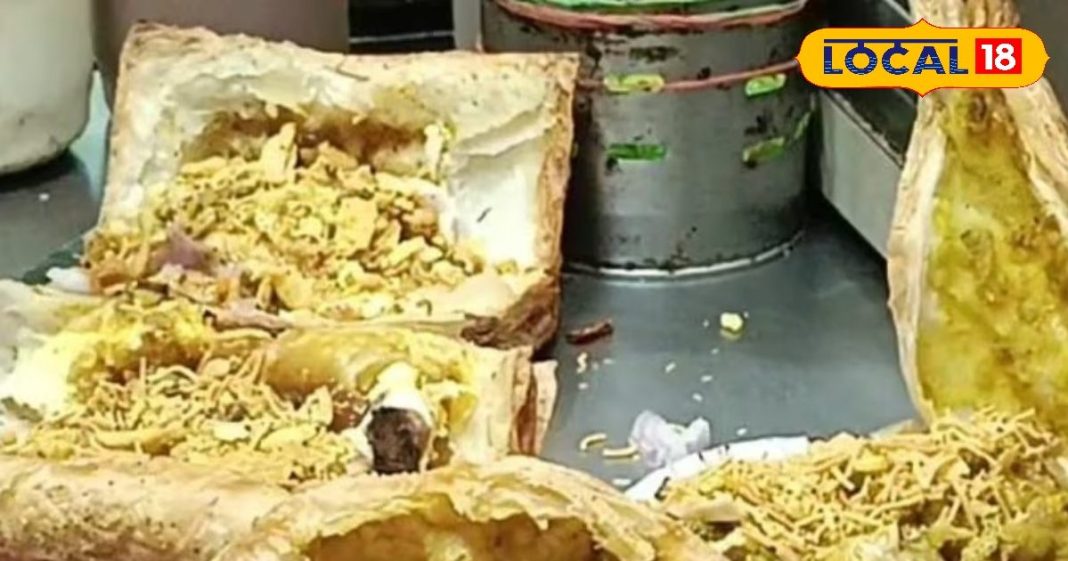 इस पेटीज में है कमाल का स्वाद, 10 रुपए में भर जाएगा आपका पेट, खाने के बाद कहेंगे वाह! – Bharat.one हिंदी