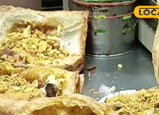 इस पेटीज में है कमाल का स्वाद, 10 रुपए में भर जाएगा आपका पेट, खाने के बाद कहेंगे वाह! – Bharat.one हिंदी