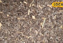 नन्हे-से ये बीज करते हैं बहुत तिकड़म…डायबिटीज से लेकर ब्लड शुगर तक को करे ठीक, पाचन शक्ति के लिए भी फायदेमंद