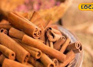 दवा से कम नहीं किचन में रखा ये खास मसाला, डायबिटीज-हार्ट डिजीज से बचाए, जानें और फायदे