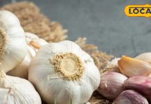 रात को सोते समय लहसुन खाने से हेल्थ पर गजब का असर, इन बीमारियों को चुटकी में करता है गायब – Bharat.one हिंदी