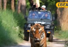 पीलीभीत में टाइगर सफारी के बाद करें इन 5 खूबसूरत स्पॉट का दीदार…