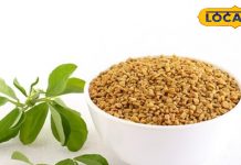 महिलाओं की सेहत के लिए वरदान है मेथी दाना, स्वास्थ्य और सुंदरता का है रहस्य, इन समस्याओं के लिए है रामबाण इलाज