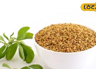 महिलाओं की सेहत के लिए वरदान है मेथी दाना, स्वास्थ्य और सुंदरता का है रहस्य, इन समस्याओं के लिए है रामबाण इलाज