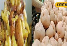सीख लिया आलू खाने का सही तरीका तो लाइफ झिंगालाला, इन बीमारियों का करता है इलाज