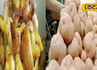 सीख लिया आलू खाने का सही तरीका तो लाइफ झिंगालाला, इन बीमारियों का करता है इलाज