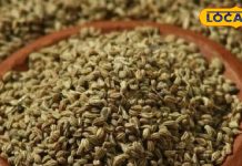 औषधीय गुणों का खजाना है यह मसाला, एक्सपर्ट से जानें इसके सेवन के फायदे