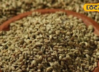औषधीय गुणों का खजाना है यह मसाला, एक्सपर्ट से जानें इसके सेवन के फायदे
