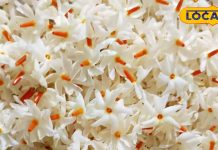 चमत्कारी औषधि की तरह काम करता है ये फूल, काढ़ा पीते ही बीमारियों को कहें अलविदा-Harsingar is a natural treasure that enhances health, beauty and immunity.