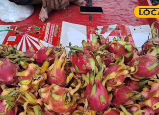 क्या महंगे फल वाकई हमारे लिए फायदेमंद होते हैं? जानिए डॉक्टर की राय