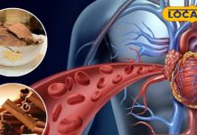 कुछ दिन इस्तेमाल और साल भर कमाल! हार्ट को ताकत और कोलेस्ट्रॉल से राहत देगी यह छाल