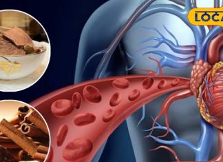 कुछ दिन इस्तेमाल और साल भर कमाल! हार्ट को ताकत और कोलेस्ट्रॉल से राहत देगी यह छाल