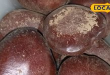 दवाई का बाप है ये पहाड़ी बीज! कूट कूट कर भरे हैं विटामिन-एंटीऑक्सीडेंट, दर्जनों बीमारियों पर करे सफाया-The tamarind seed is a miraculous Ayurvedic medicine, strengthens bones and also controls weight