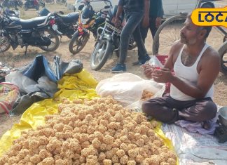 Chhatarpur Famous Sweet: बिना तेल-घी के तैयार यह है छतरपुर का प्रसिद्ध लड्डू, ठंड में इतनी बिक्री कि दुकानदारों की बल्ले-बल्ले