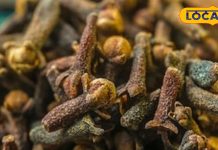 इस सुगंधित मसाले में छिपे हैं लाखों गुण! सिर से पांव तक की समस्या में फलदायी