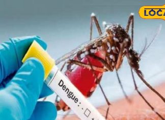 जयपुर में जारी है डेंगू और चिकनगुनिया का कहर, रोज अस्पताल आ रहे 700 से अधिक मर