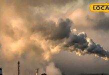 Jharkhand Air qaulity Today air quality index on November 16 | AQI Jharkhand- जमशेदपुर और धनबाद की हवा हुई जहरीली, अस्थमा के पेशेंट ऐसे रखें ध्यान