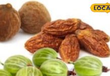 Weight loss: बढ़ते वजन को कम करने में कारगर है त्रिफला, घर पर ही 3 जड़ी-बूटियों से करें तैयार, बिना जिम के हो जाएंगे फिट