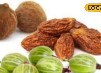 Weight loss: बढ़ते वजन को कम करने में कारगर है त्रिफला, घर पर ही 3 जड़ी-बूटियों से करें तैयार, बिना जिम के हो जाएंगे फिट