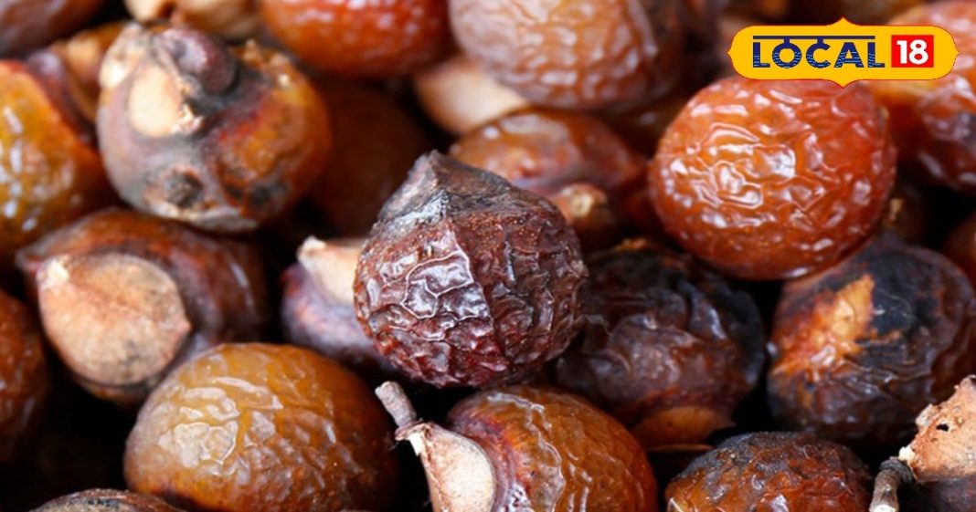 बालों के लिए प्राकृतिक कंडीशनर है रीठे का छिलका, जानें फायदे और उपयोग का तरीका – Bharat.one हिंदी