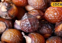 बालों के लिए प्राकृतिक कंडीशनर है रीठे का छिलका, जानें फायदे और उपयोग का तरीका – Bharat.one हिंदी