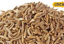 सब्जी में तड़के का राजा है ये मसाला, कुछ दिन करें इसके पानी का सेवन दूर होगी गैस, कब्ज की समस्या, नहीं बढ़ेगा वजन