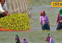 सर्दी आते ही बाजार में छा जाता है ये फल, खतरों की बीच से तोड़कर लाते हैं किसान