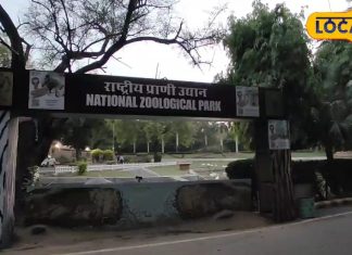 सिंगापुर और थाईलैंड के चिड़ियाघर से बढ़िया है दिल्ली का जू, यहां पर्यटक 84 प्रजाति के जानवरों का करते हैं दीदार