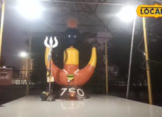 संस्कृति और एकता का प्रतीक: कोरबा में स्थापित विश्व का पहला आदिवासी शक्तिपीठ