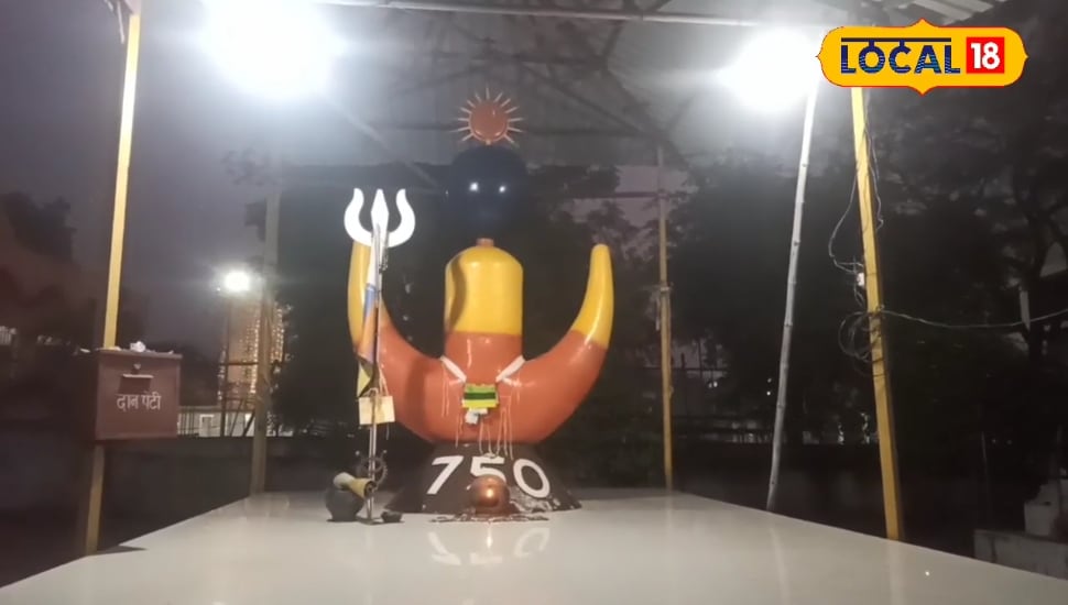 संस्कृति और एकता का प्रतीक: कोरबा में स्थापित विश्व का पहला आदिवासी शक्तिपीठ