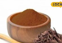 अमृत से कम नहीं इस पेड़ की छाल, पेट और आंतों के सूजन में देती है राहत, शरीर में भर देती है ताकत